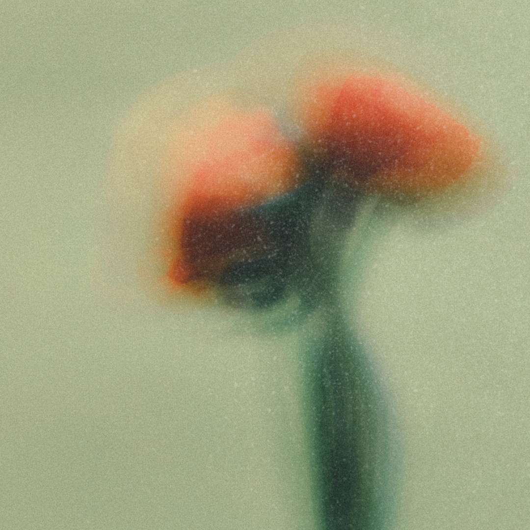 Aerchitect micro-reset: the Refocus Blink to clear mental fog