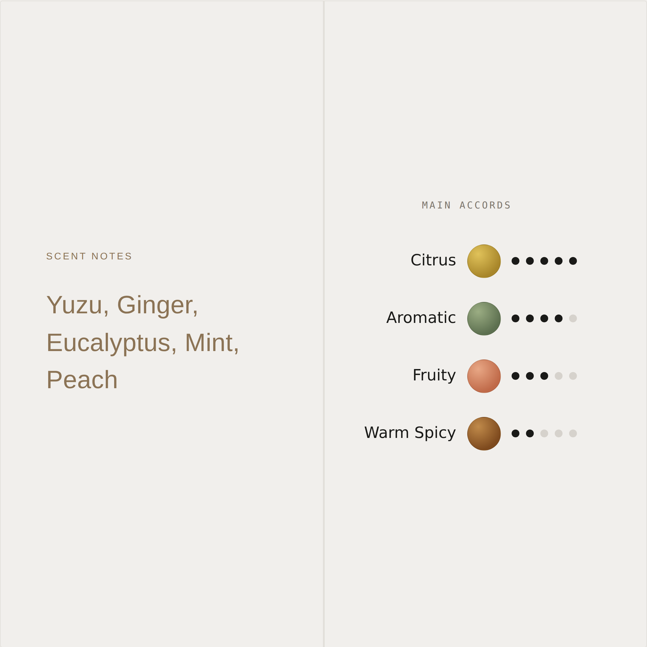 FOCUS Cognitive Reset Mist | Eucalyptus, Yuzu & Mint